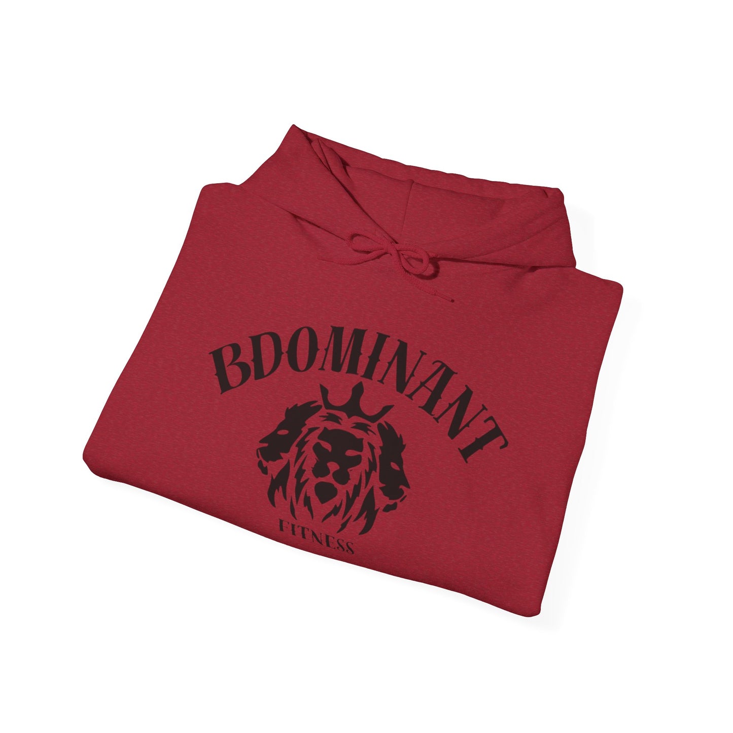 BDominant Hooded Sweatshirt
