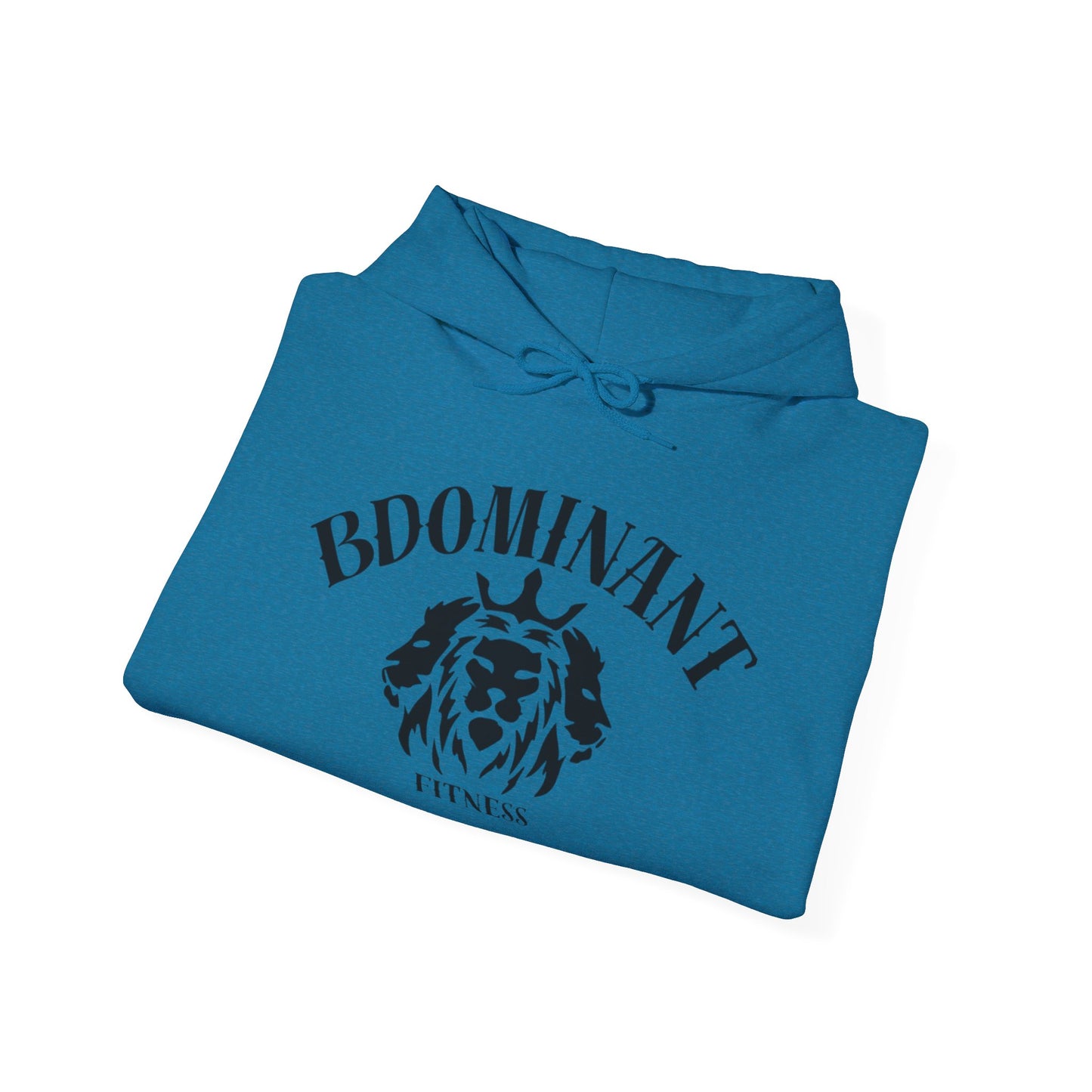 BDominant Hooded Sweatshirt